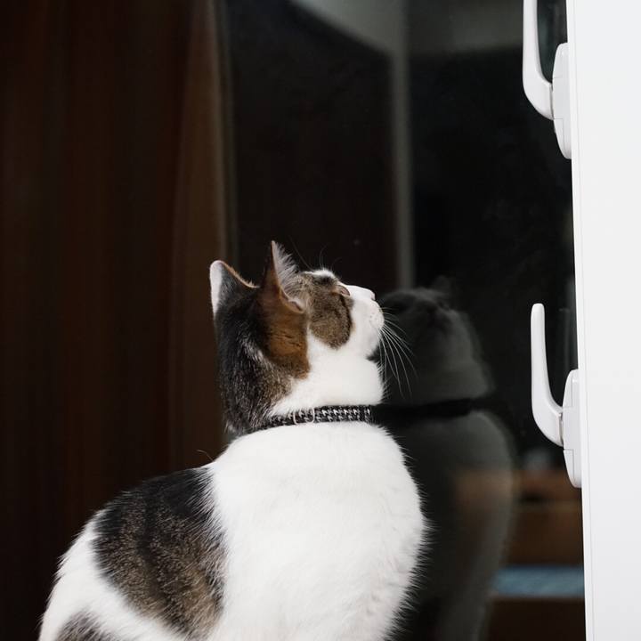 24067669 de57 4a23 baea 4aef2e31009d 1527173147692