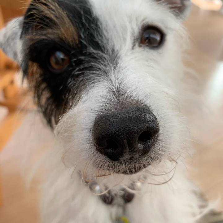 24067954 1f23 461f b915 4f1193eb2187 1573708453943