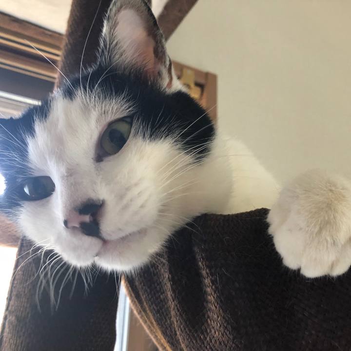 24067d86 6975 4879 ae30 aa7292bb7b8c 1551491252696