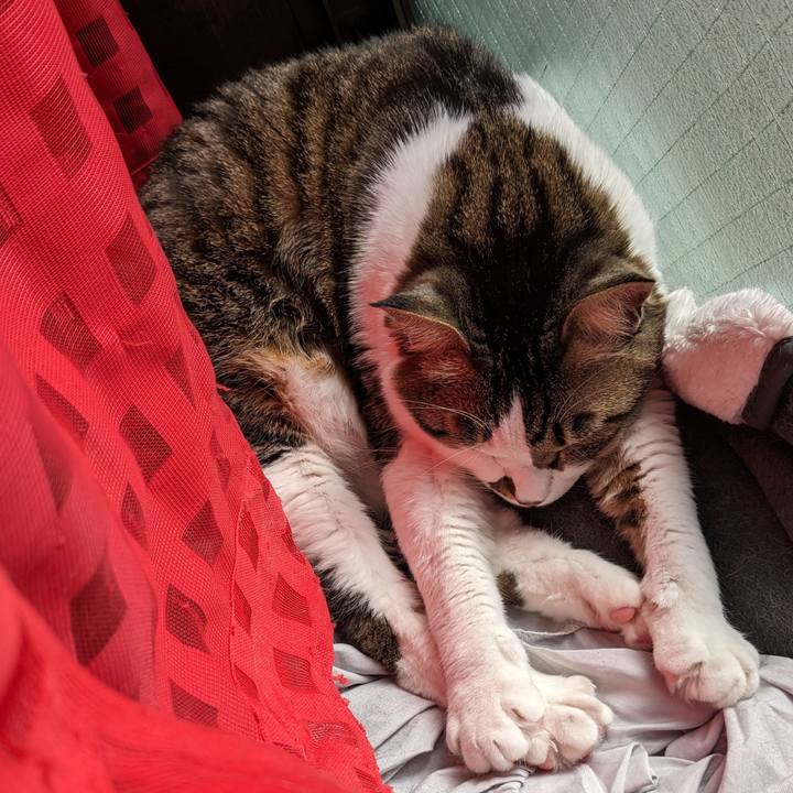 2406b03d 1a80 4199 b58c b26c93efe65b 1709259342754