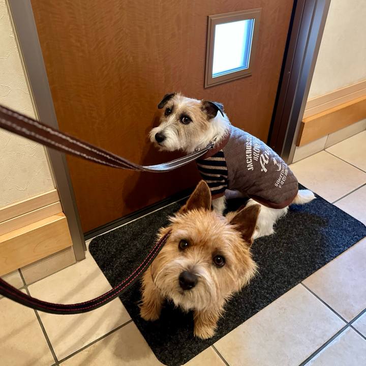 2406b0c9 ec68 4768 a316 8a6b48eb5bf2 1740441836970