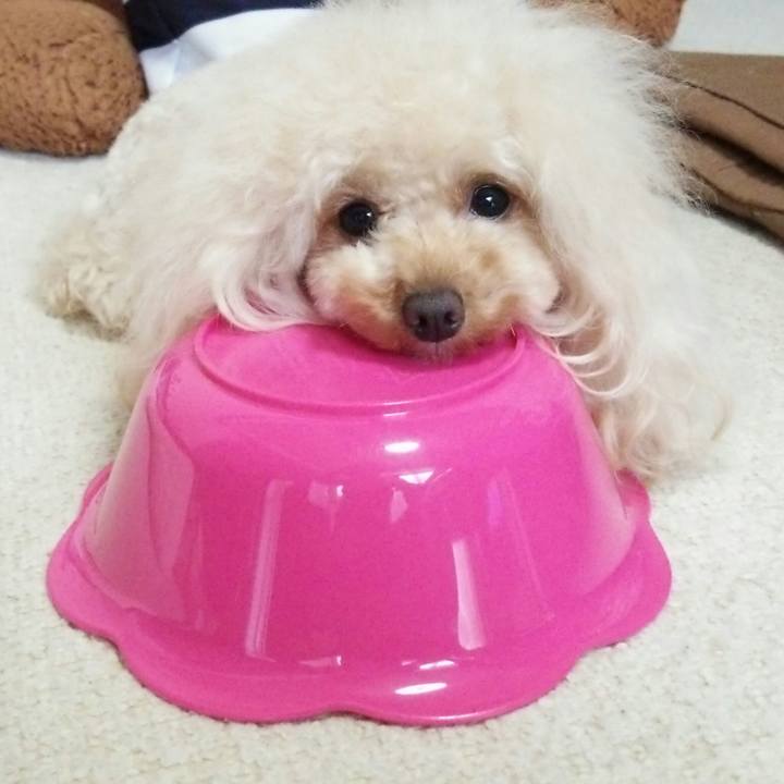 2406c3c1 29c3 4a5c bbe4 4abeeaf03f6b 1514287305918