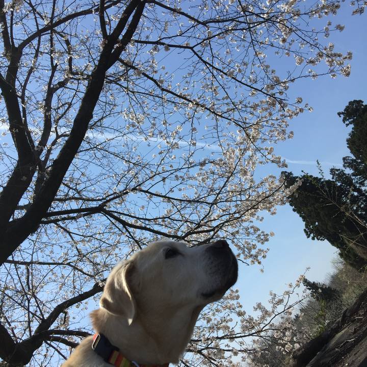 2406d4ae c552 4214 962b 80ec440e9352 1710909174628