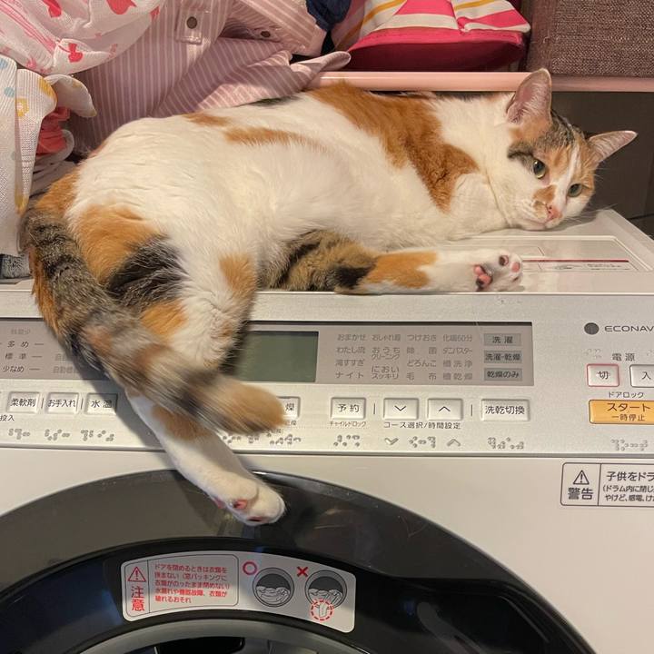 2406dc3b 8828 4666 9e0b 33ae8c36456c 1655383710216