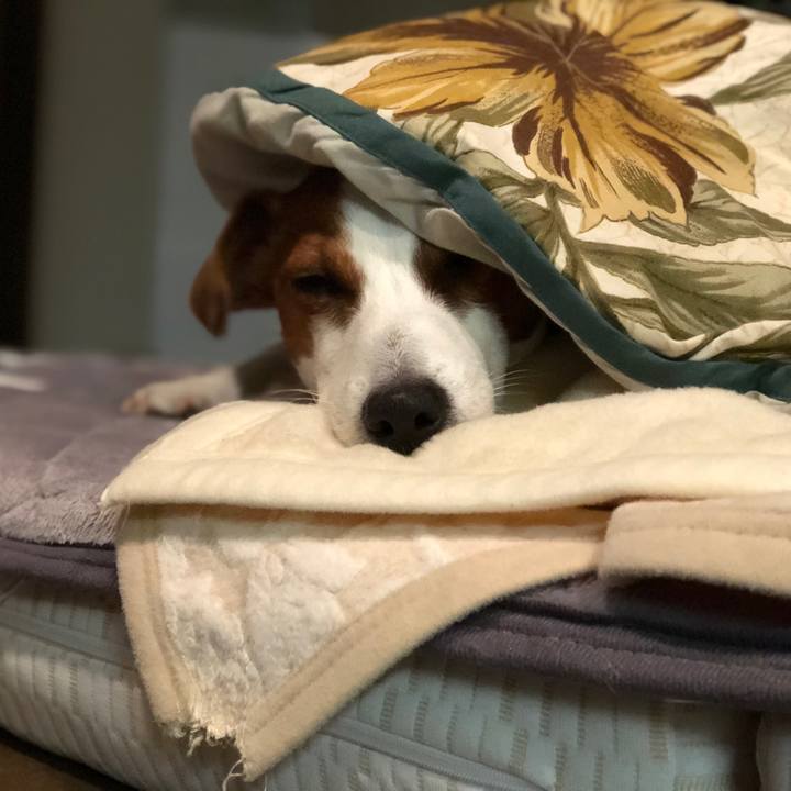 2406e186 7101 4ce5 acbc 08f41de10c78 1583749855532