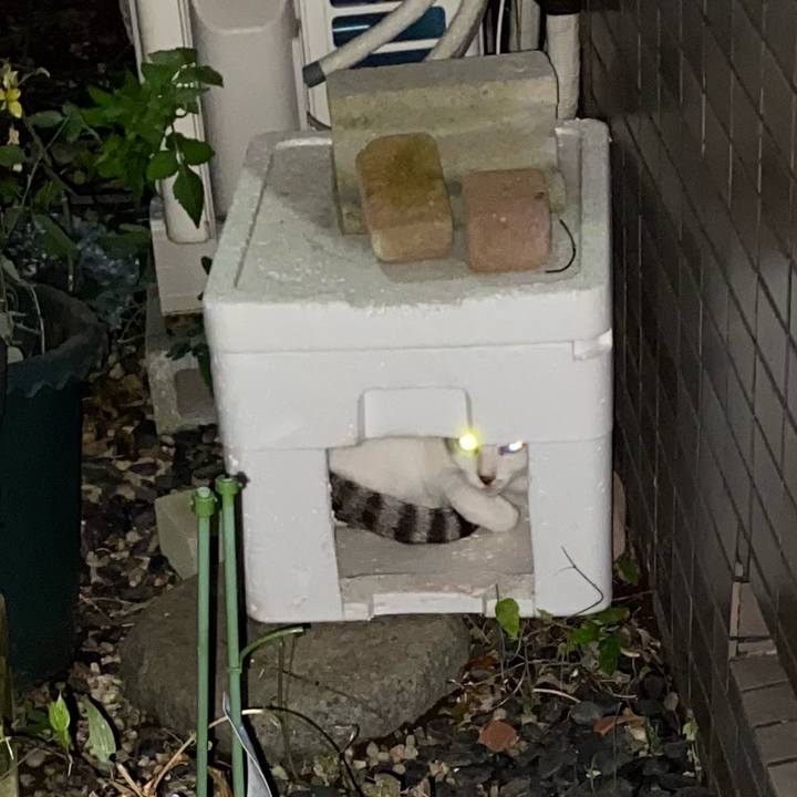 2406eb4c 8180 4e99 be3f 33d98a806b8c 1634996939290