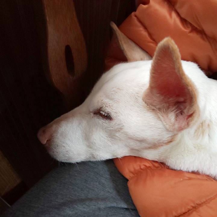 2406f35f 1007 4442 9b47 b606d1fbb598 1584161087894