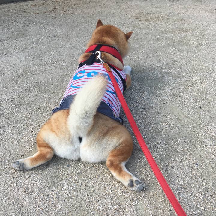 240760a3 c641 4f46 928b 770a206bef51 1597362225928