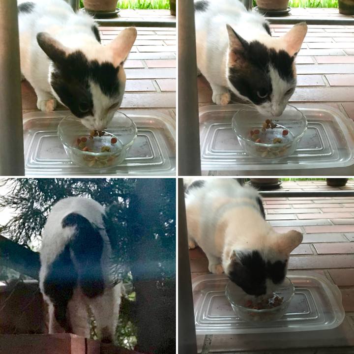 24076674 bbec 4bcd 8c6d c9a53ea5a19b 1526626022211