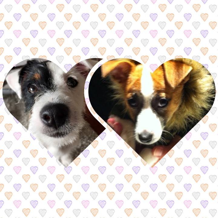 24079ca2 363f 4f71 8a8a c49392f228e4 1536290747165