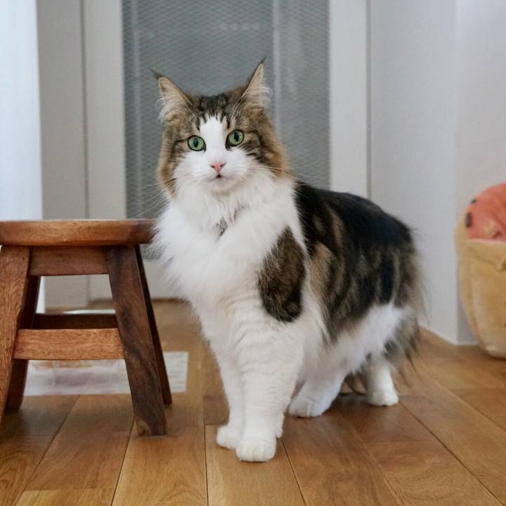 24079dd0 0cfc 4923 b32a f46aad779a9e 1550805884713