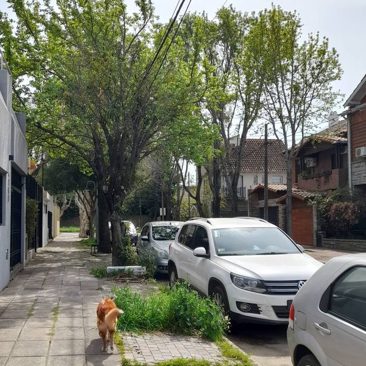 2407d1ef bf47 4d6b aaca 1f0391eb5ddc 1758152859853