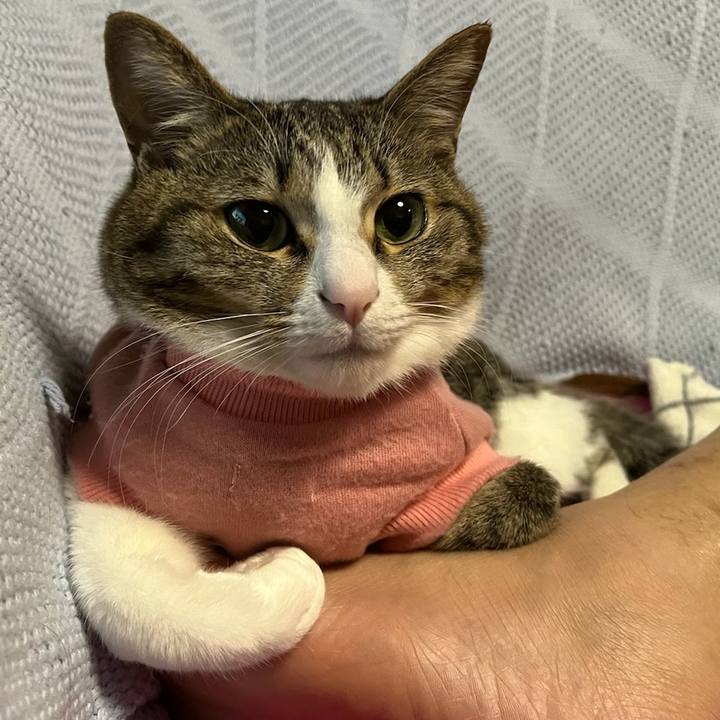 2407d636 d6db 49f0 9f60 2e9cba868663 1675995659098