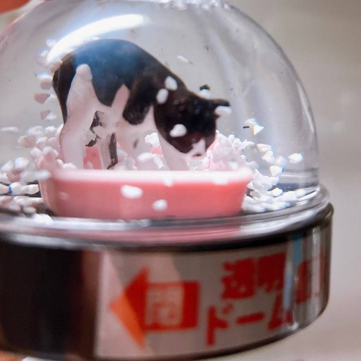 24081692 060b 46e5 9ceb 490ef4db105b 1698850040072