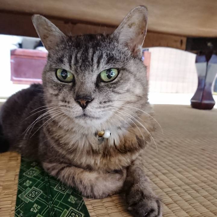 2408e73a 2f20 48af a8a7 fecbae59d9d7 1566643845272