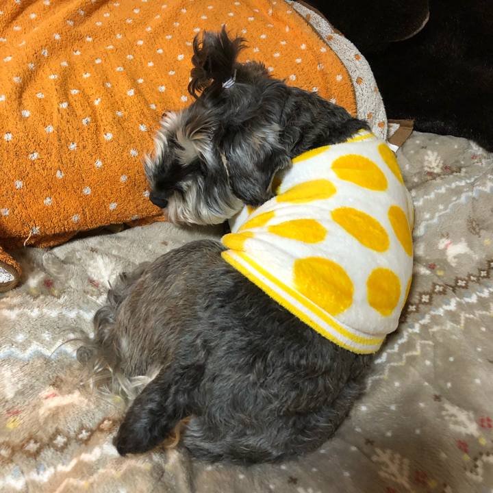 2408f1be 10c1 4110 ad0d 066cb01bb3af 1645885731144