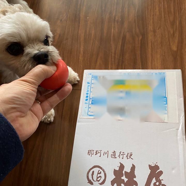 240916a9 746a 4812 9a69 469db55975a0 1577074647212