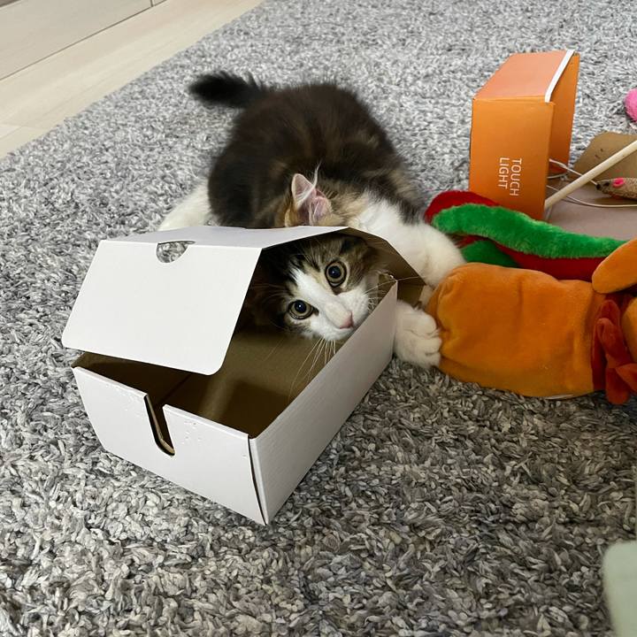 2409dd43 1189 447a ac72 0b8201e8885a 1633206662249