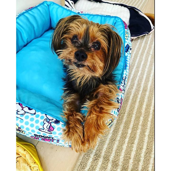 2409f9ce 2e3f 436f 8df7 6b861d082a83 1694559565164