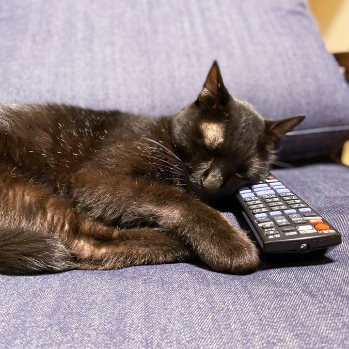 240a1c37 93b1 4f38 9381 635608ba8918 1660392923493