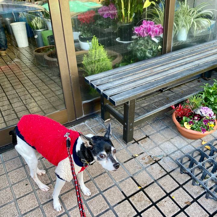 240a473b 1519 4251 be7d 07a6b60b6050 1609339451388