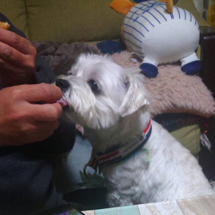 240a7b76 c71f 40a5 8d35 231e9412e259 1637322662860