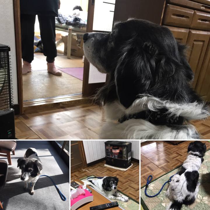 240a92ae a25f 49e9 aa92 79282372f539 1551000707476