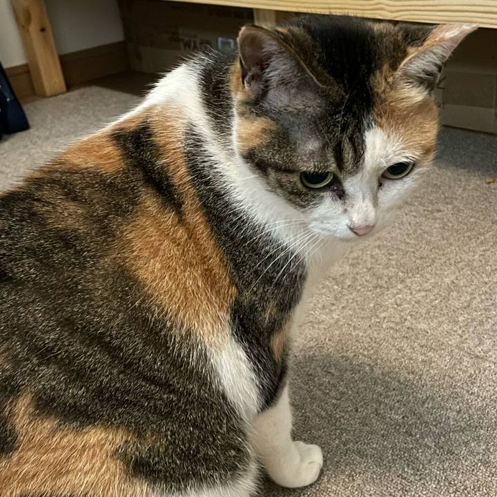 240aa015 ade0 4263 bfdb e7ef9935bfbf 1714526702283