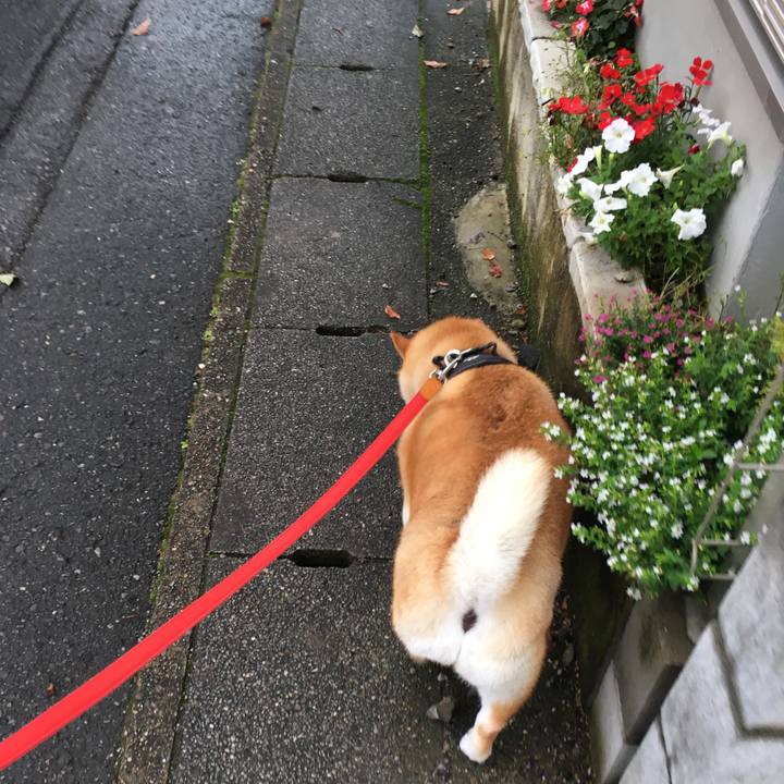 240abcd9 cd06 4c71 af91 7fbd7374c6a5 1595669035715