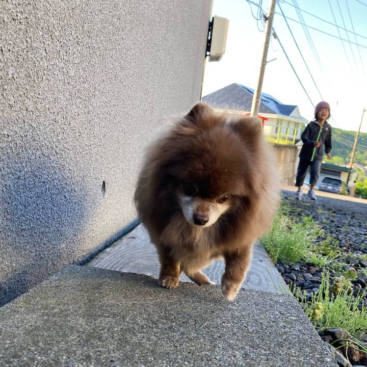 240ac916 5e7d 4af7 9d2d aeb042a57e45 1686033653840