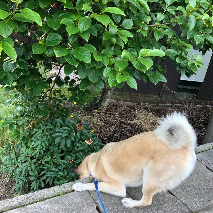 240af803 64bf 4b64 88ac 464baa13b8e2 1591015642299