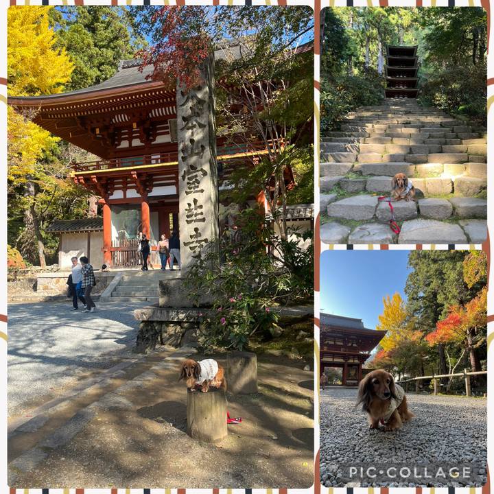 240b0a16 6371 481c aa1f 85956e77109b 1762592691213