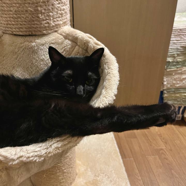 240b60bb bca0 4669 a701 633a284c77ea 1684808751998