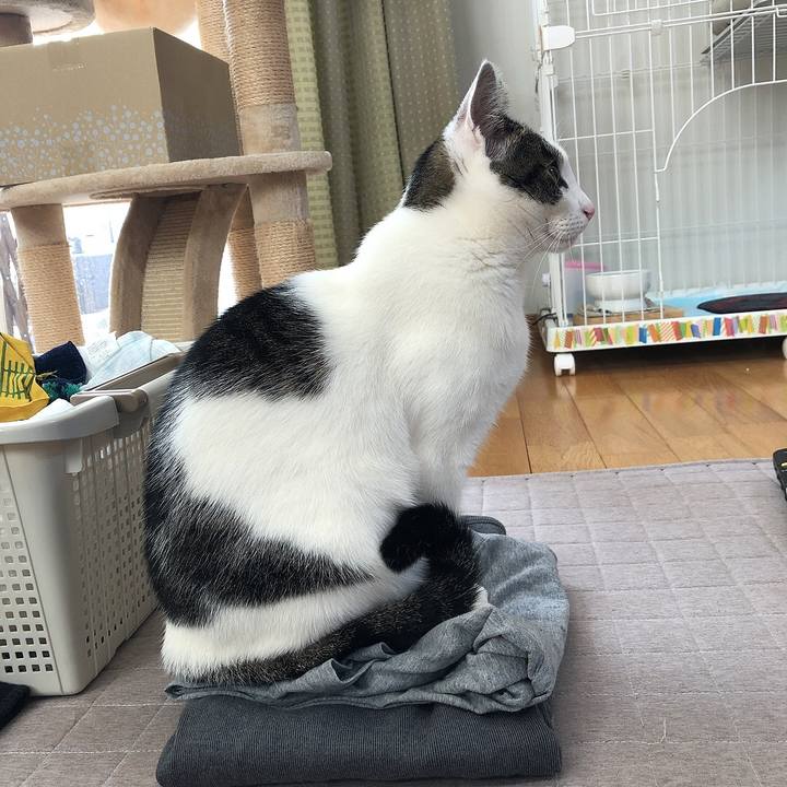 240b841d 2f8f 492a a476 43f8fb6bd9ee 1646633247053