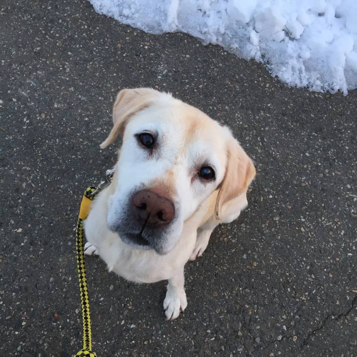 240b981e 2de6 4e0e b662 5f6e6d768b91 1515972099982