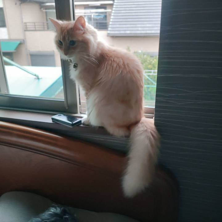 240ba0e7 399a 489a b6c3 90929d2e0366 1695352596472