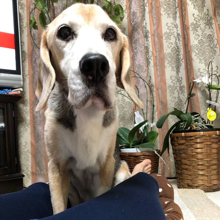 240bb536 5d29 4910 a36f f6da19d6e0e1 1572437296369