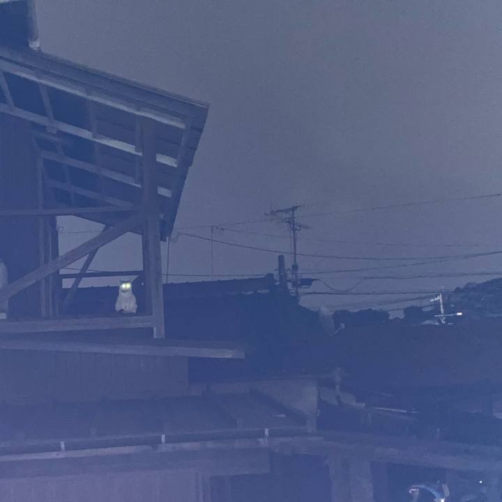 240c720b 9350 4128 b4bb 2f5f329980c5 1639576163678