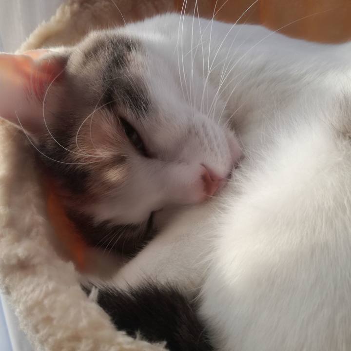 240c77ce 5c90 4196 87c6 240e3a4f50a8 1548371558411