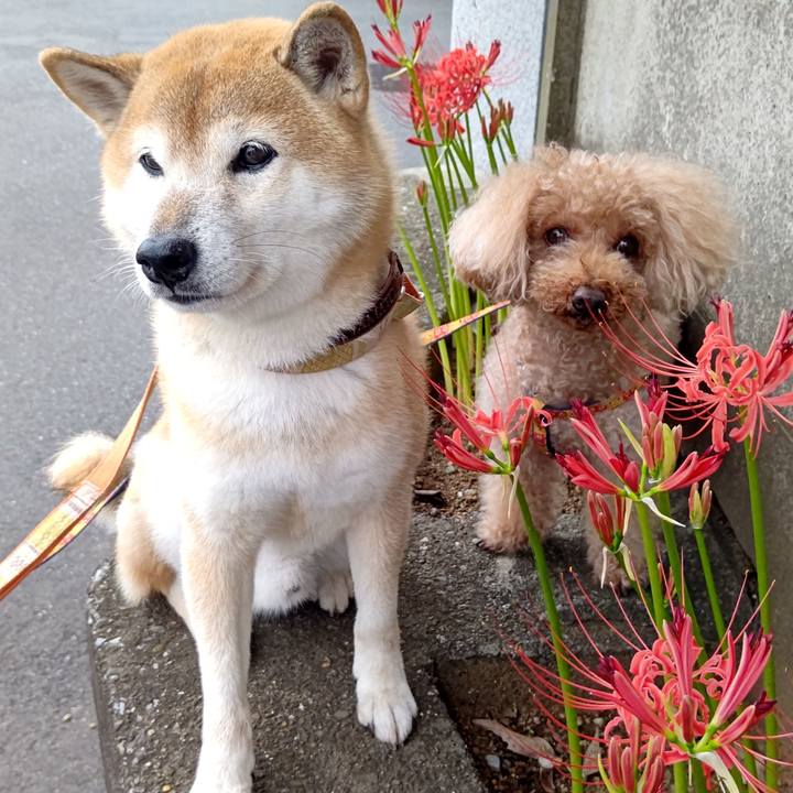 240c82b9 960c 47b9 be9e cd22b0048d94 1631607315948