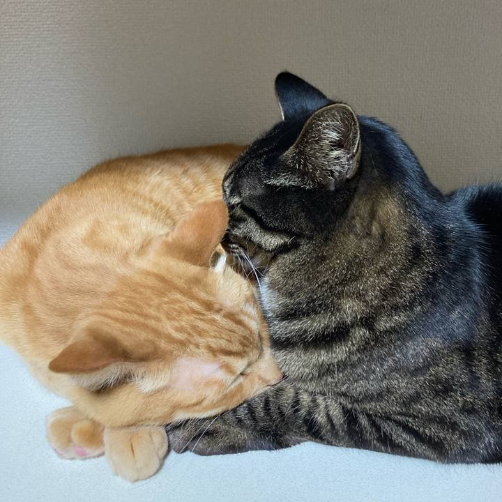 240c86e1 3d32 4238 92c0 a705639edd19 1715961676933