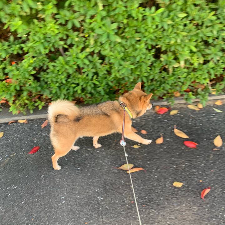 240cc181 31e8 4c8d bc7b 2a13f5ea106d 1763362622021