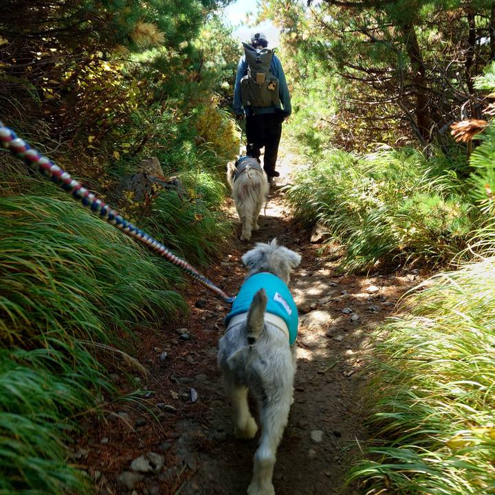 240cc98f 73f5 43c1 a765 e325c2ddcaf7 1759743913561