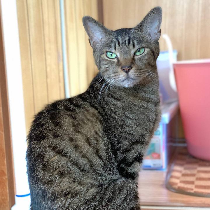 240cf6e4 1691 43dd ba24 0a0625a6bd69 1571447581122