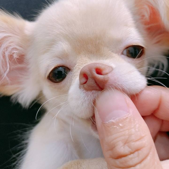 240d0c0d d4d0 47da b872 03bbf6358599 1592986957227