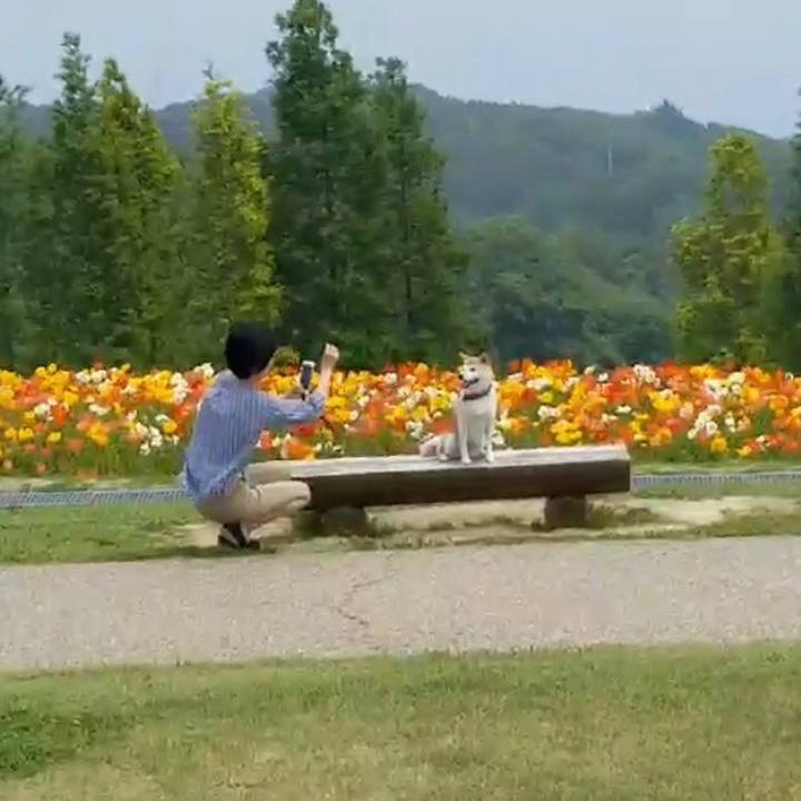 240d3874 b695 468f a601 79d38fd76ea4 1526808684473