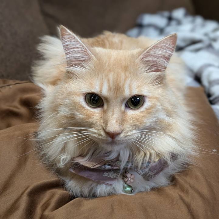 240d4d9a 907e 4868 beec 685786a73999 1726322399286