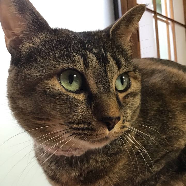 240d5894 0c6f 4200 a30d 7cbc4c931f5f 1719391240145