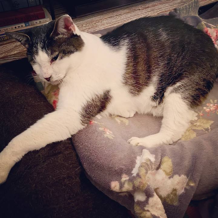 240dcdfd 20ad 4a07 a7fb 093bbf0833fa 1587745160914