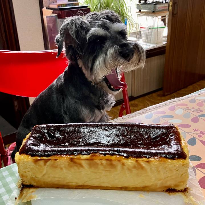 240df6f3 2ebd 4416 b1b6 51d0d9d81117 1723468764399